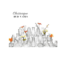 Classicique Bud Vases Set of 40 $50.00
